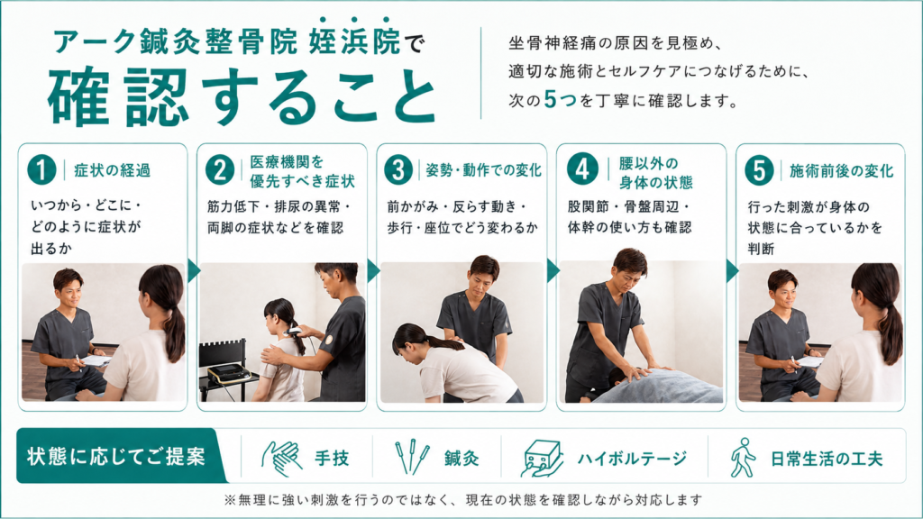 アーク鍼灸整骨院姪浜院が坐骨神経痛で確認する症状の経過・危険症状・姿勢動作・身体状態・施術前後の変化