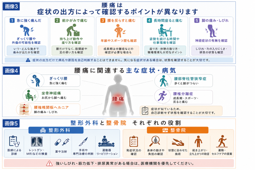 腰痛で整形外科と整骨院を選ぶ際の役割の違いをまとめた図