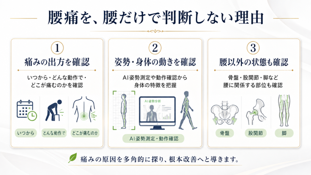 腰痛を腰だけで判断しない理由として、痛みの出方、姿勢や身体の動き、骨盤・股関節・脚の状態を確認する流れを示した図