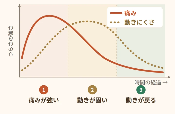 四十肩・五十肩の経過のイメージ図。痛みは初期に強く、動きにくさはその後に目立ち、やがて動きが戻ってくる